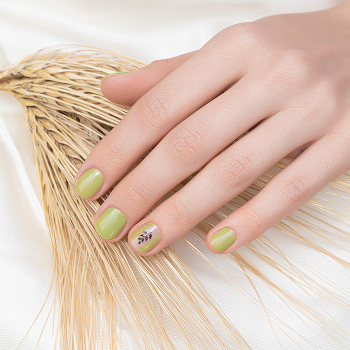 Accent Nails & Spa Bradenton in Bradenton, FL