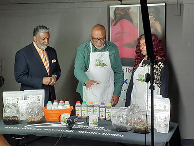 Women and Minority Small Business Market in Indianapolis, IN (4)