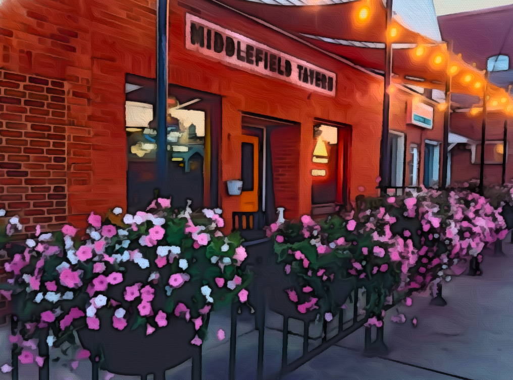 Middlefield Tavern in Middlefield, OH (5)
