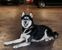 Cody’s Auto Spa Detailing in Amarillo, TX (6)