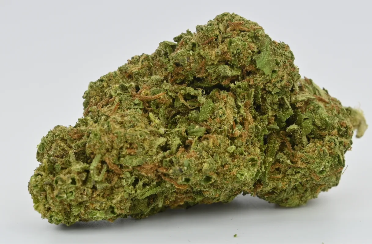 Rogue Shop - CBD Shop and Delta 8 THC Dispensary in Eau Claire, WI
