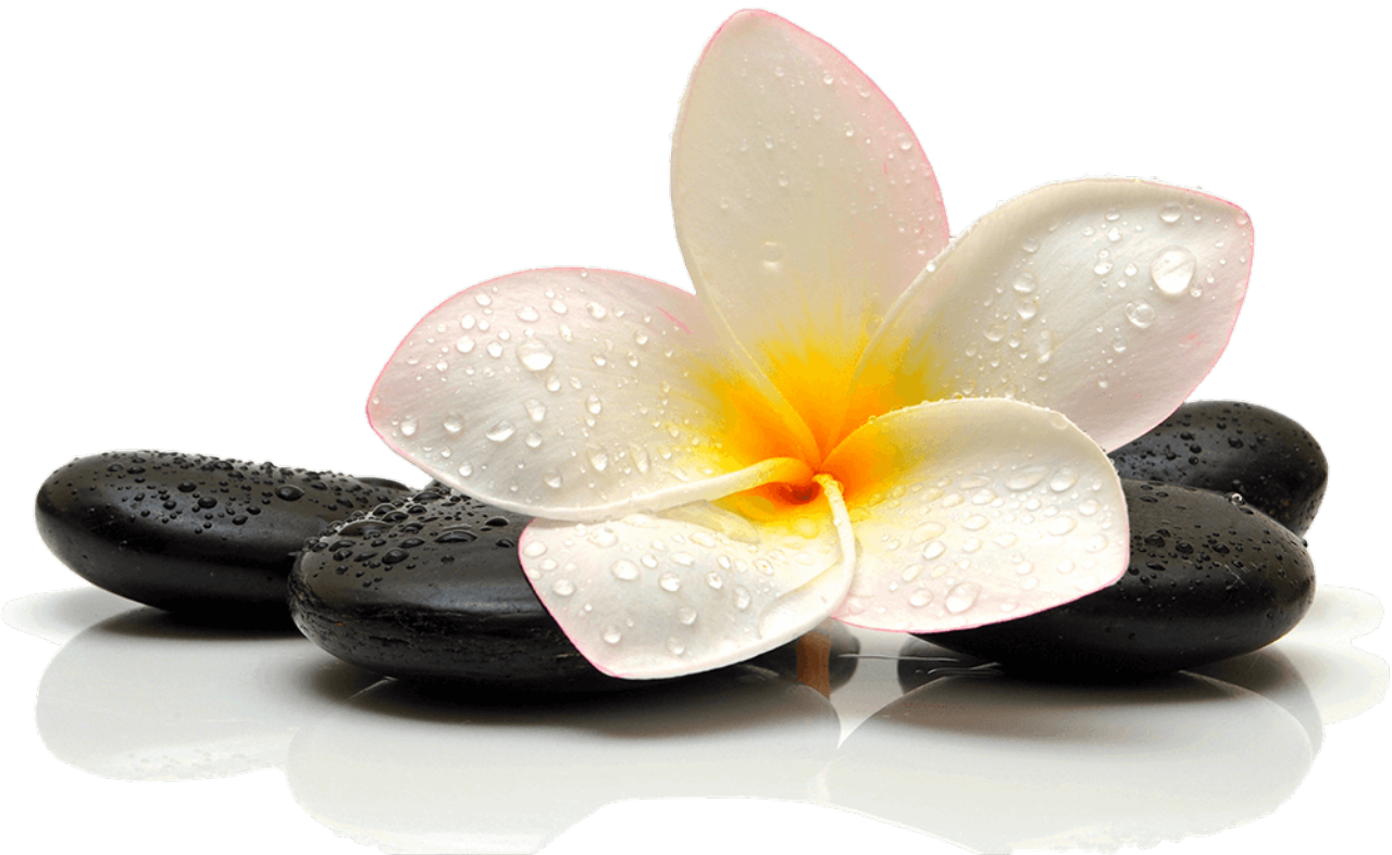 Forever Beauty Hair and Nails in Milpitas, CA