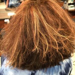 Teddy Rose Hair Salon & Day Spa in Skokie, IL (6)