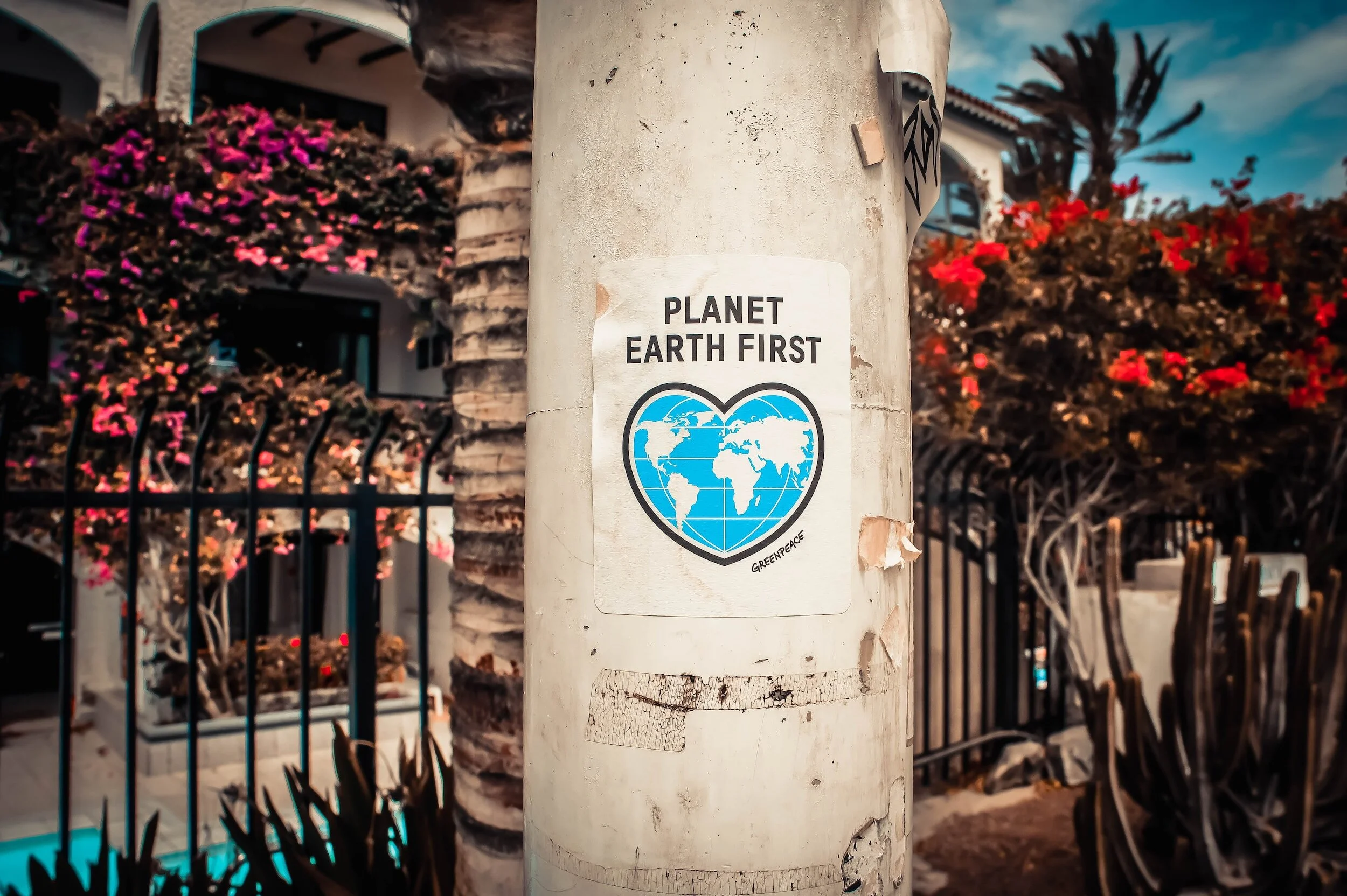 Hangry Planet in San Bruno, CA (2)