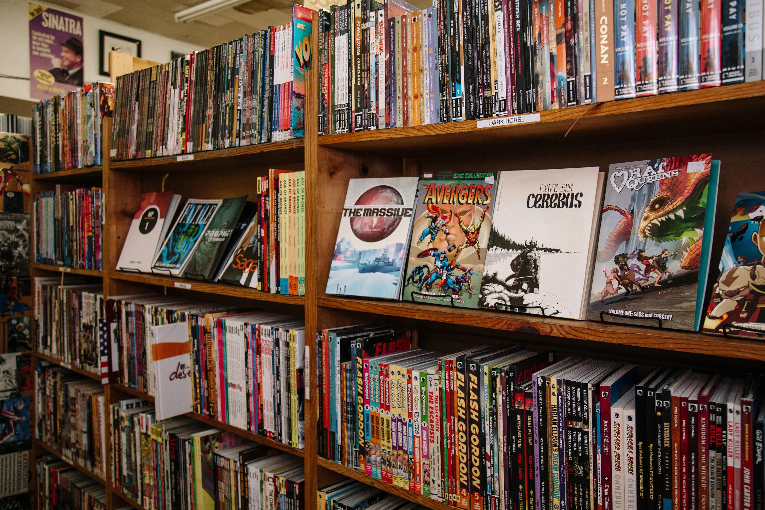 Recycled Books Records CDs in Denton, TX (3)