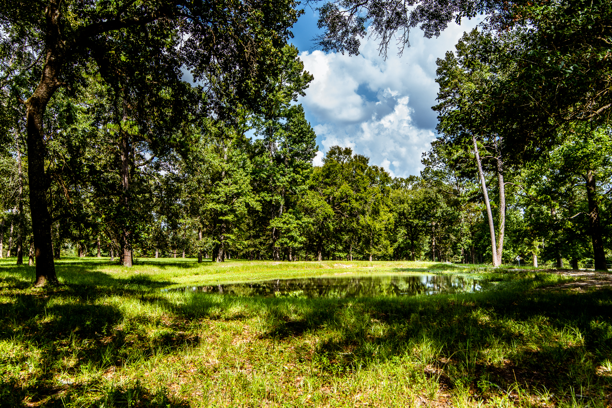 Markham Realty in Huntsville, TX