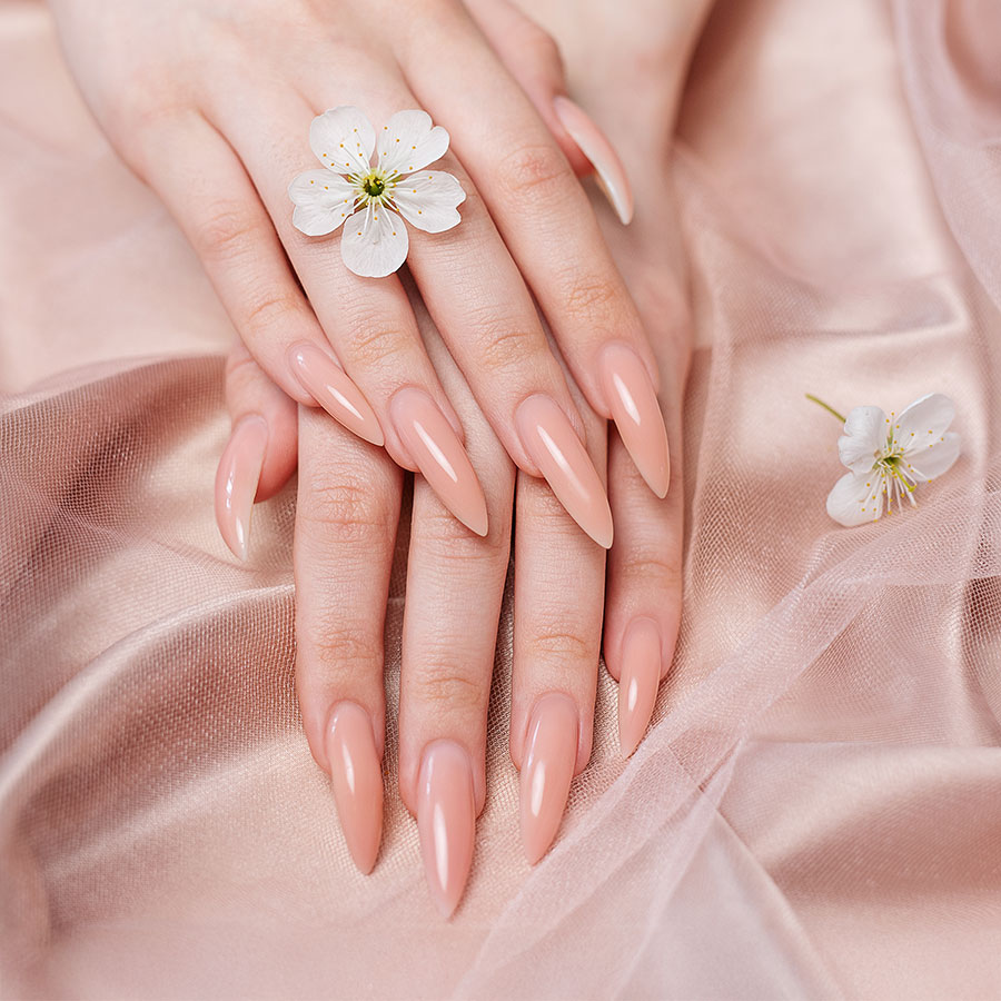 Wild Nails & Spa - Head Spa in Victorville, CA
