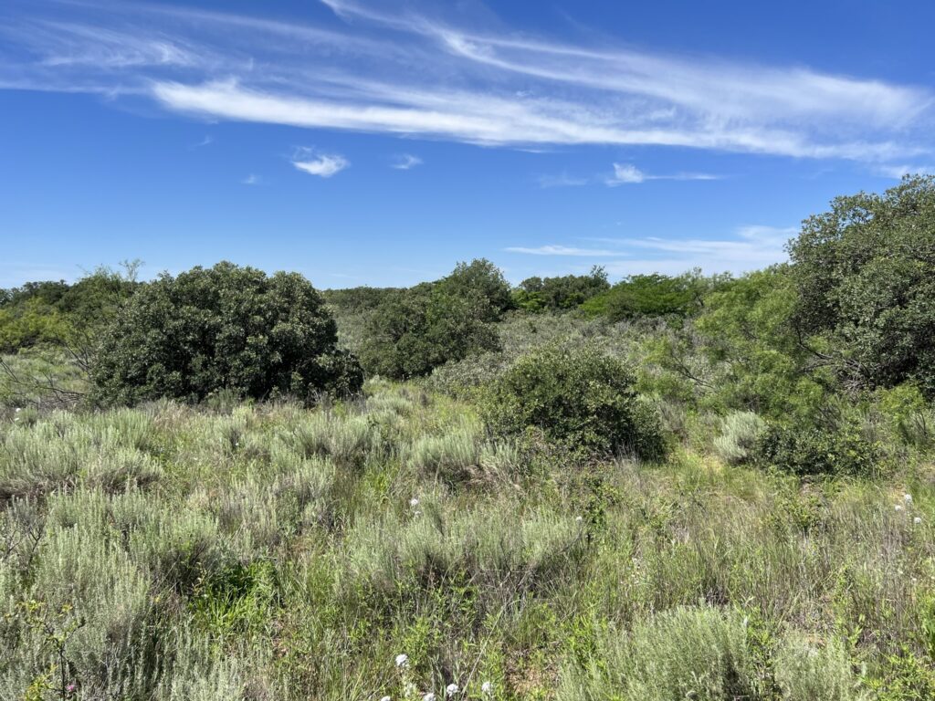 Chad Holland Real Estate in Childress, TX (3)