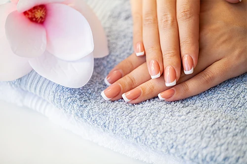 LeAnn Salonbar in Plantation, FL (2)