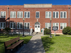 Coast One Tours in Indian Rocks Beach, FL (4)