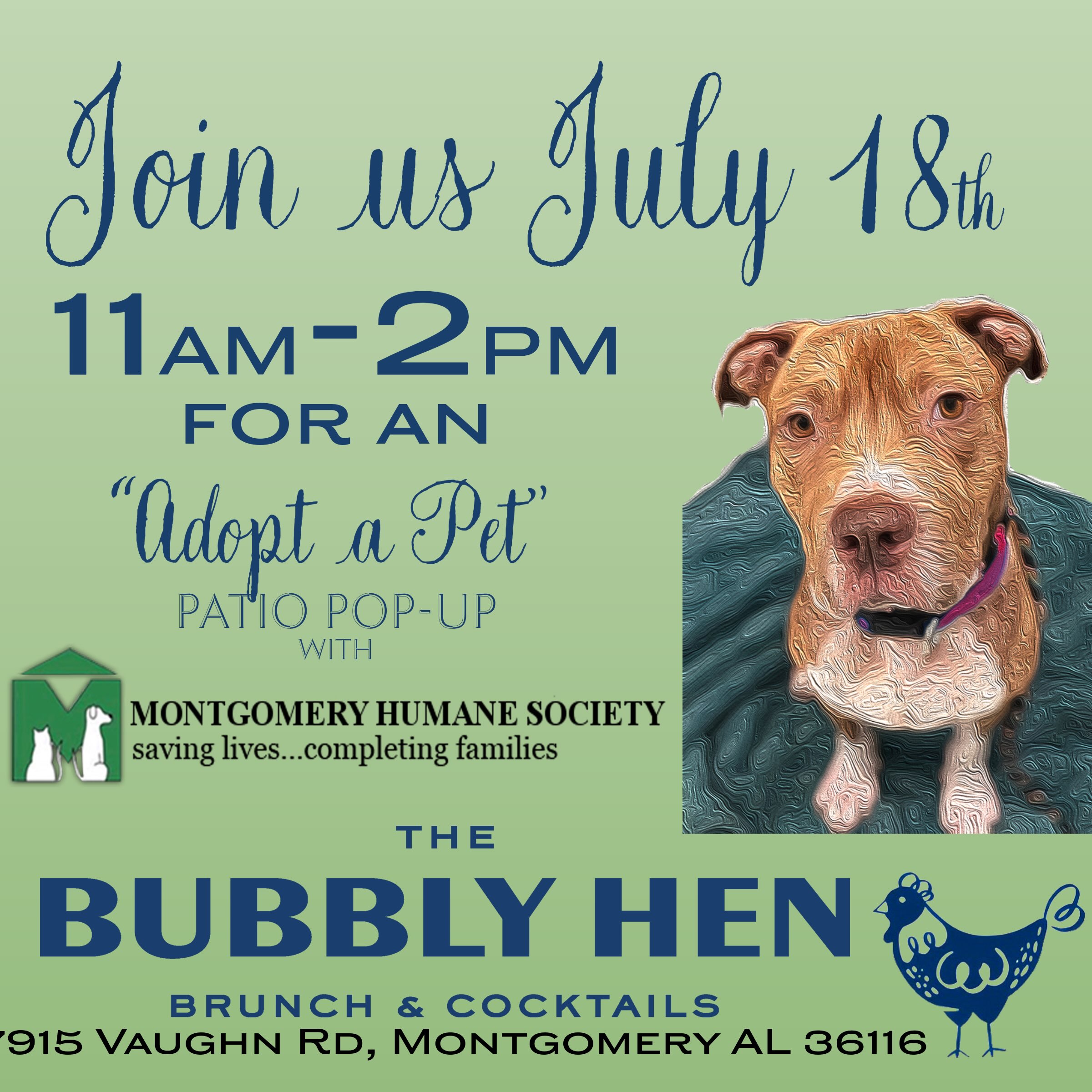 Bubbly Hen in Montgomery, AL (5)
