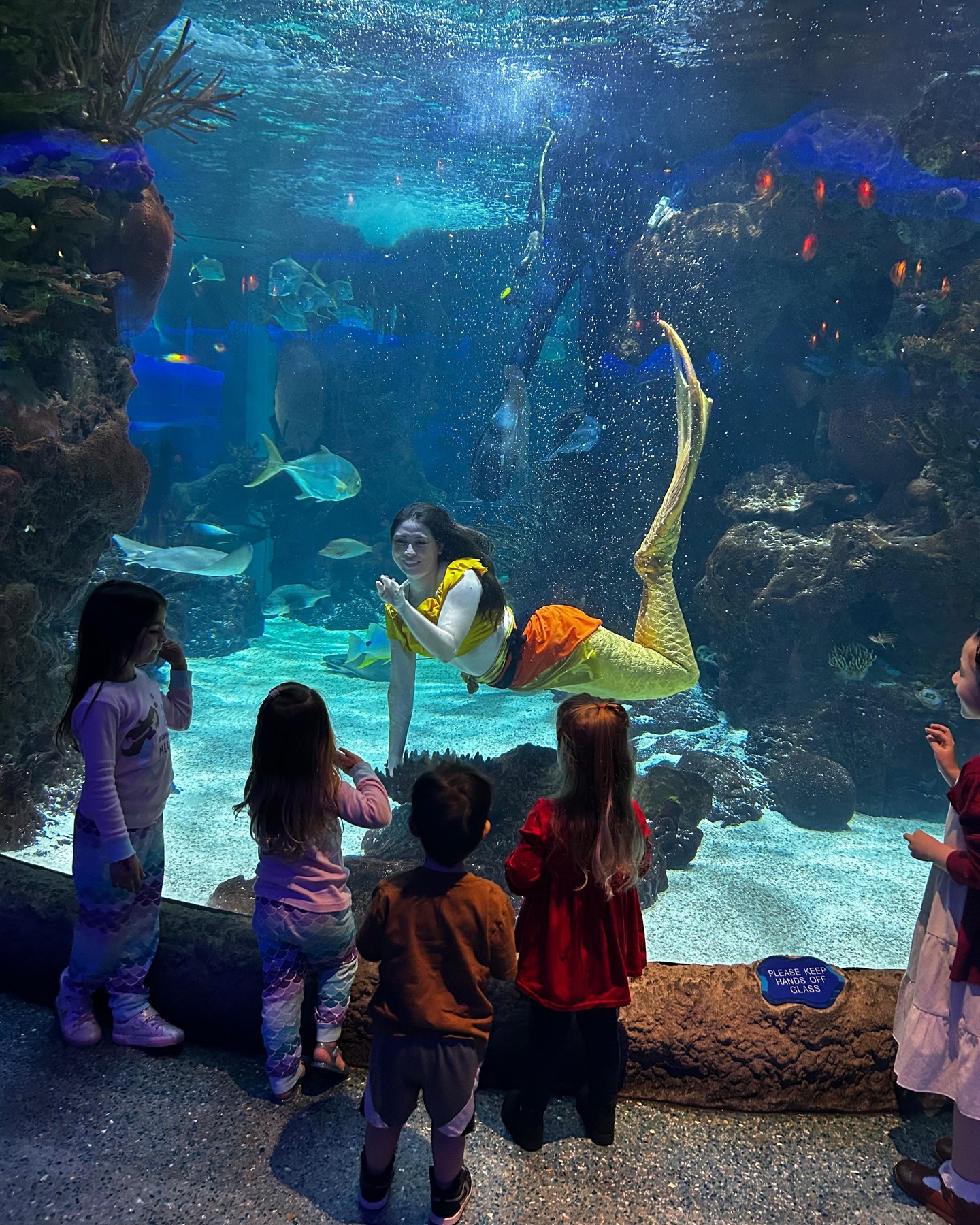 Aquarium Restaurant in Kemah, TX (3)