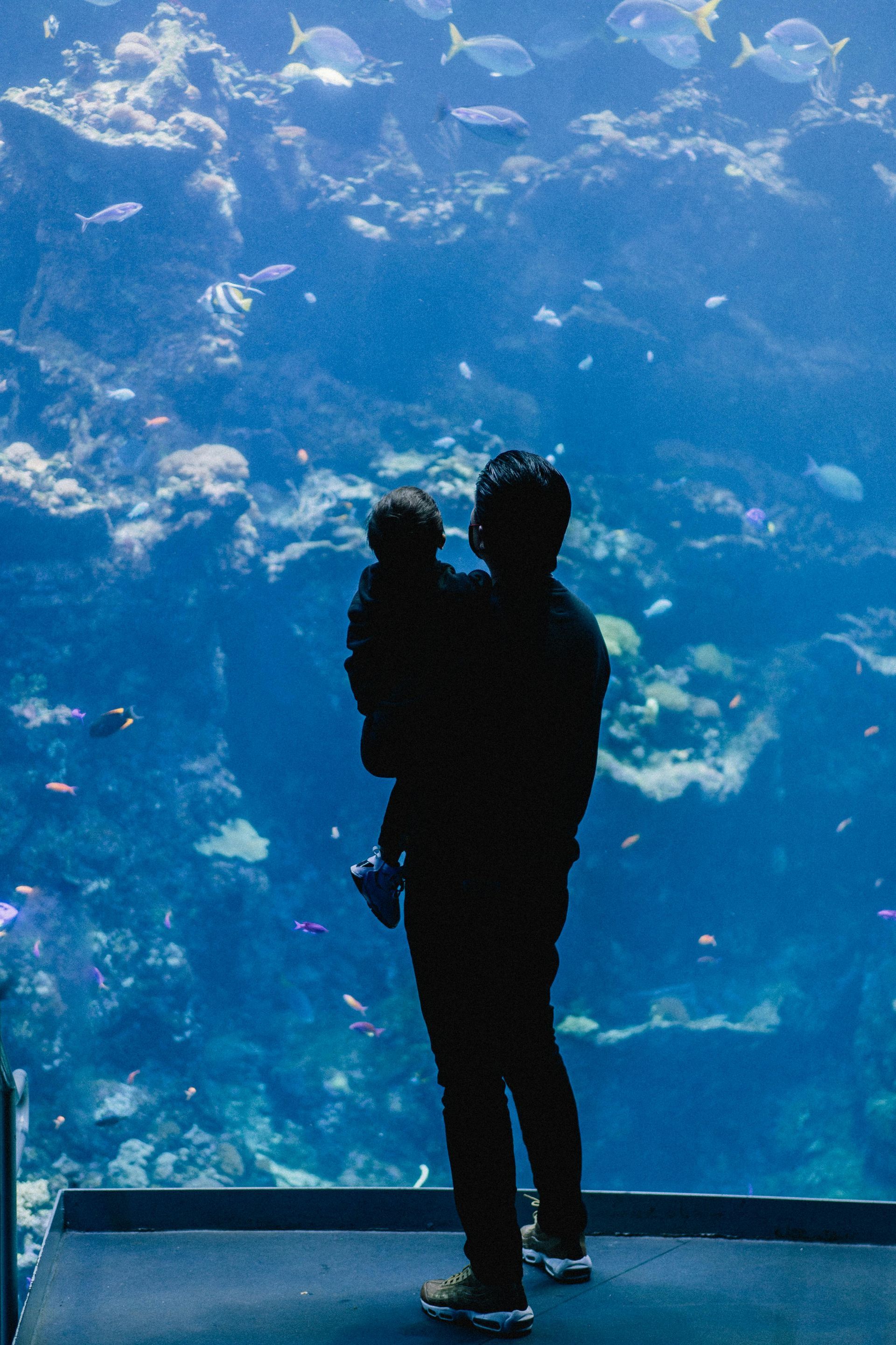 Aquarium Restaurant in Kemah, TX (4)