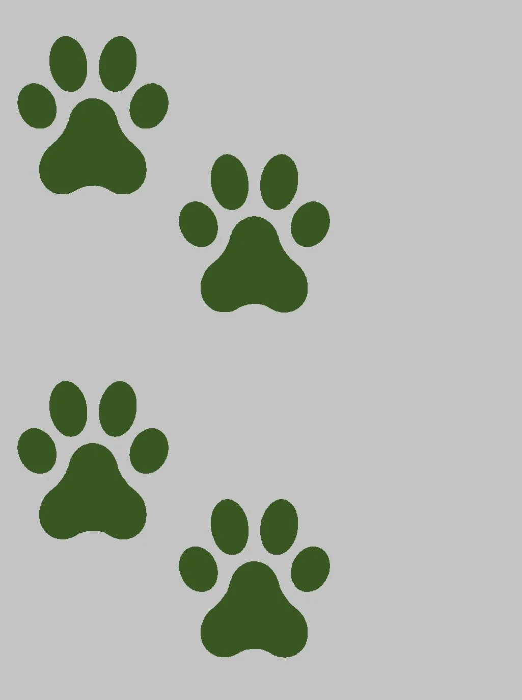 Bobcat Bookkeeping in Thornville, OH (4)