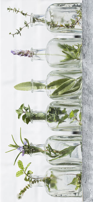 Mane Attraction Salon & Wellness Spa in Winchester, VA (3)