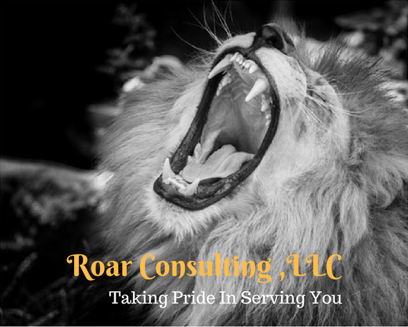 ROAR Consulting, LLC in Franklin, IN (2)