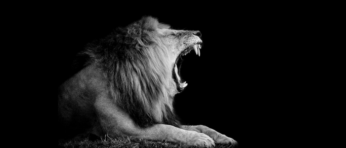 ROAR Consulting, LLC in Franklin, IN (3)