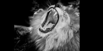 ROAR Consulting, LLC in Franklin, IN (4)