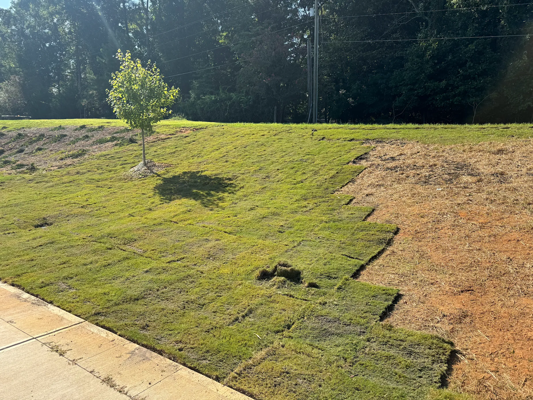 Landscaping NC in Harrisburg, NC (2)