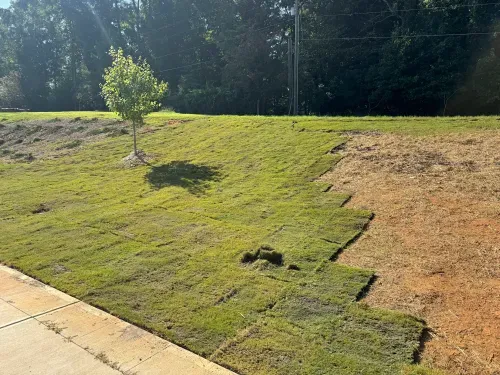Landscaping NC in Harrisburg, NC (6)