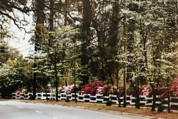 Fesperman Real Estate in Waycross, GA