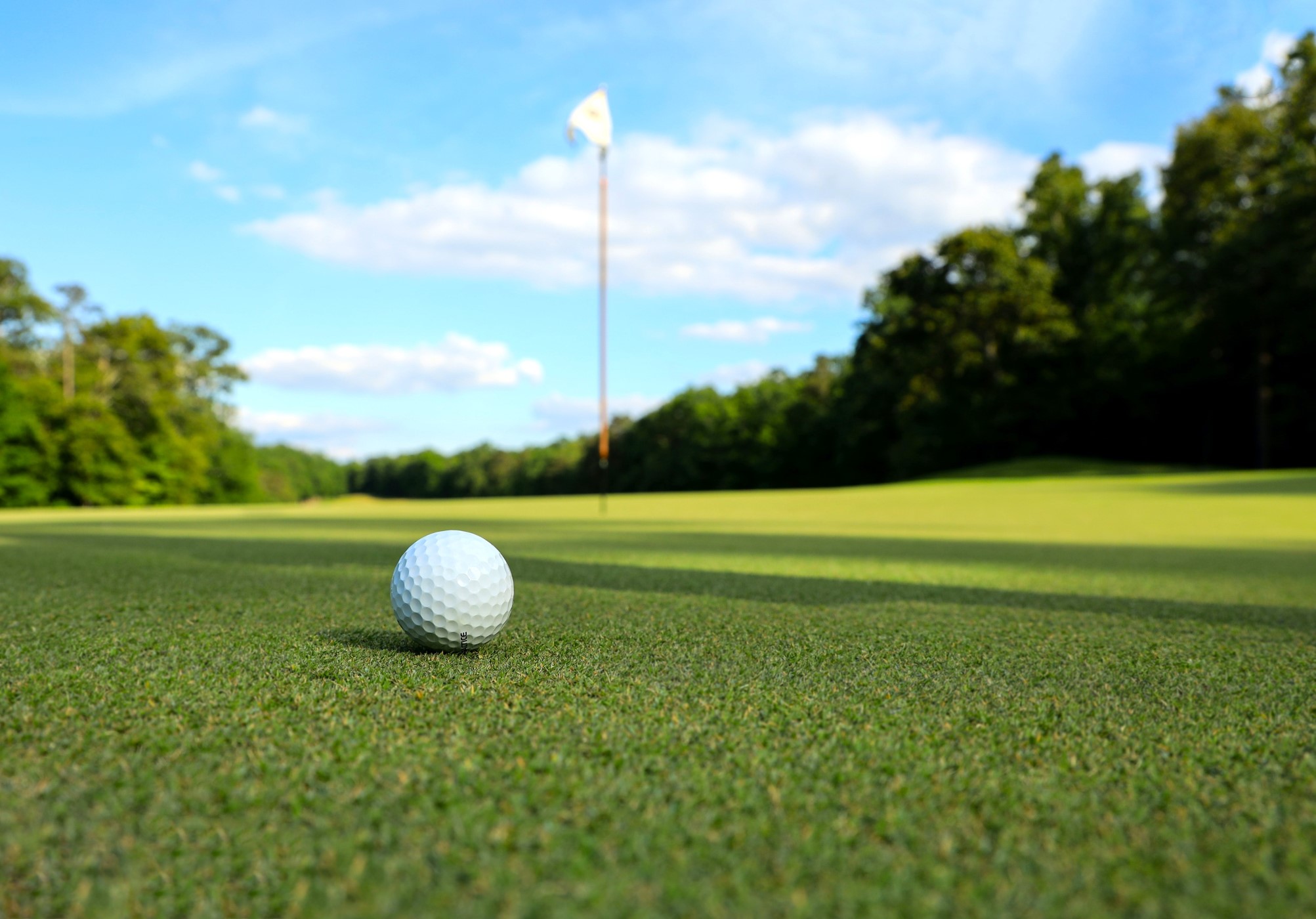 Mineola Country Club in Mineola, TX (2)