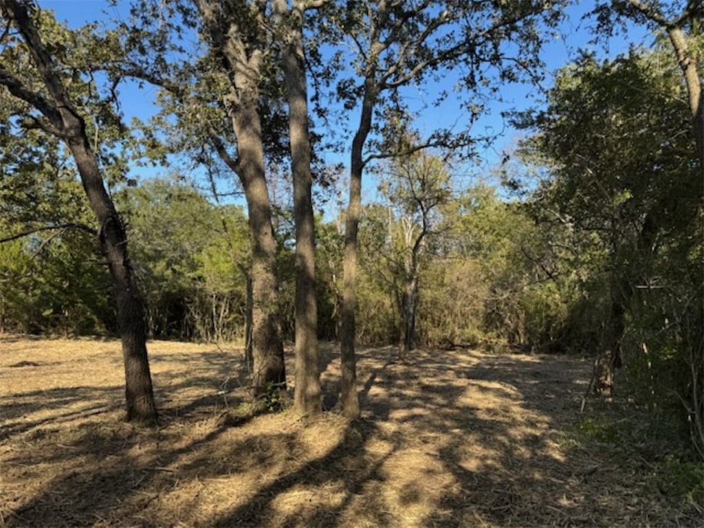 Deborah Stepanek -CB&A Realtors in Anderson, TX (3)