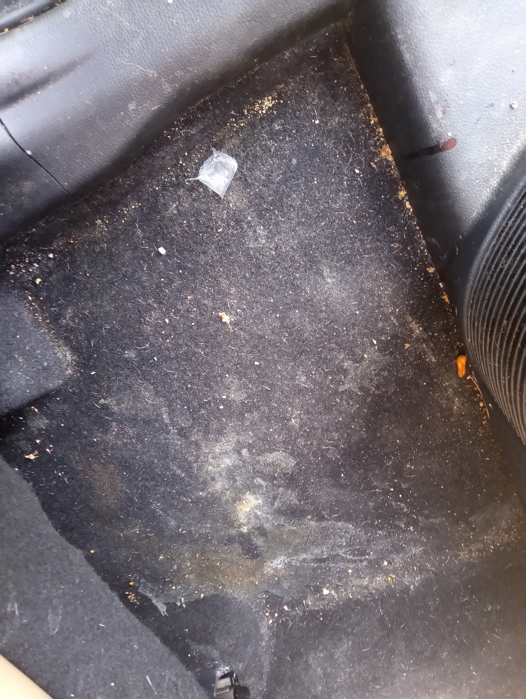 Gloss Boss Mobile Detailing in Lucerne, CA (2)