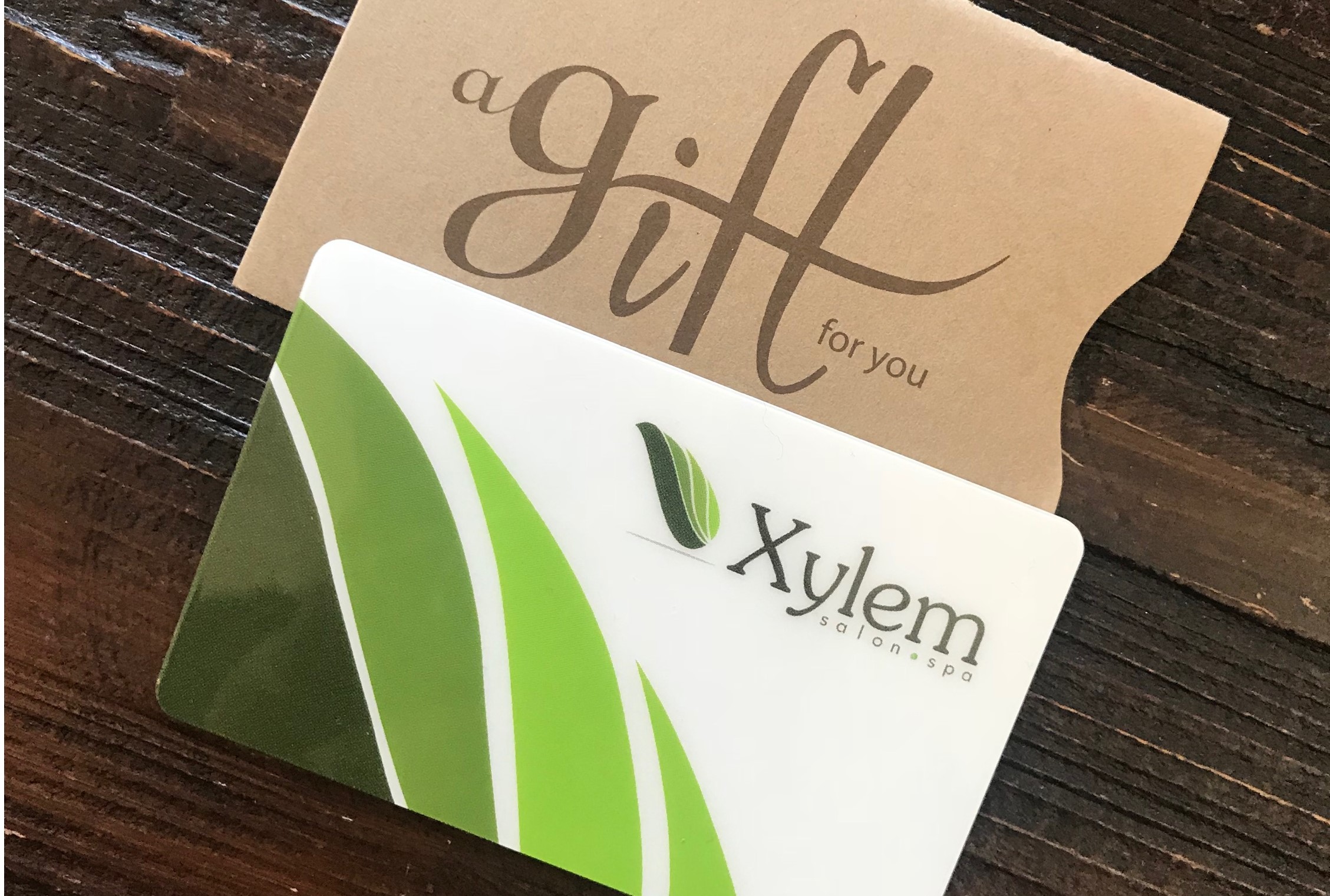 Xylem: An AVEDA Lifestyle Salon & Spa in Monrovia, CA (2)