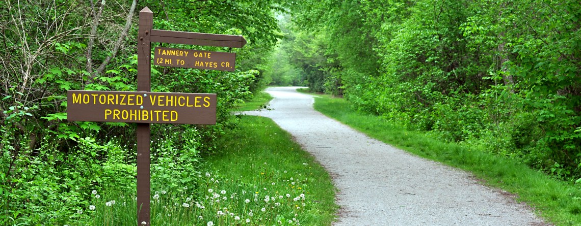 Poconos Bike Rentals - Rafting - River Tubing in White Haven, PA (5)