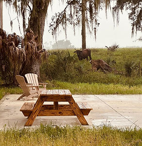 Peace River Oaks in Bowling Green, FL (5)