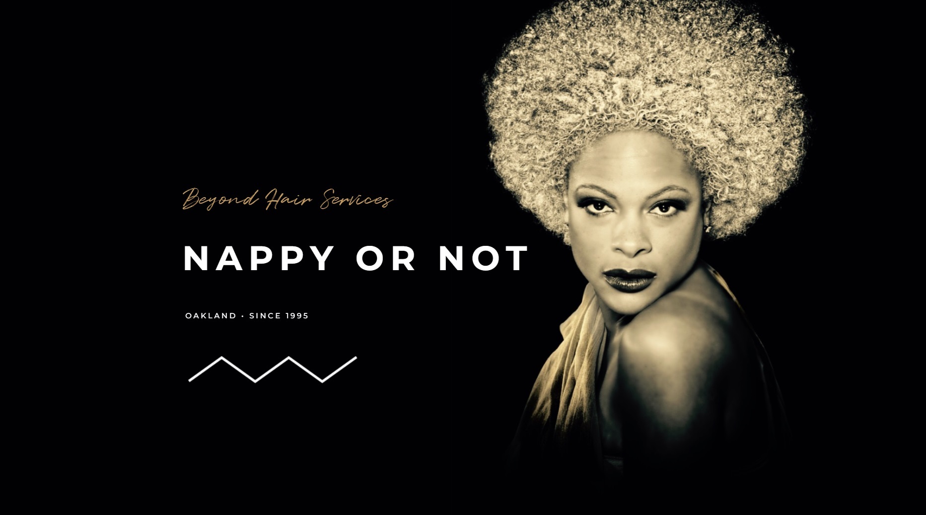 Nappy or Not Inc in Oakland, CA