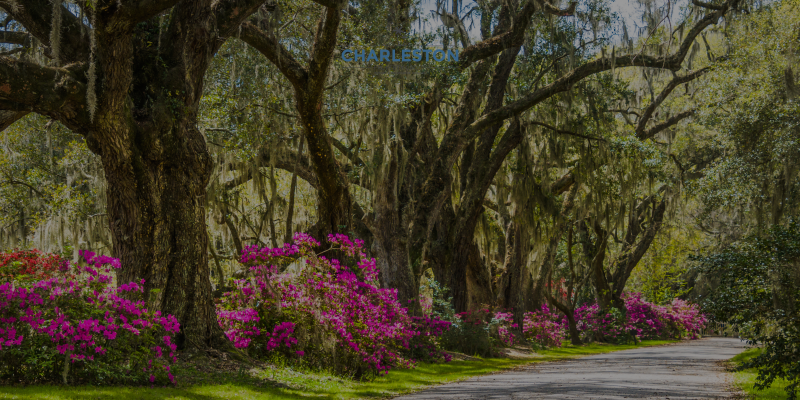 Charleston Property Group - The Boulevard Company in Charleston, SC (5)