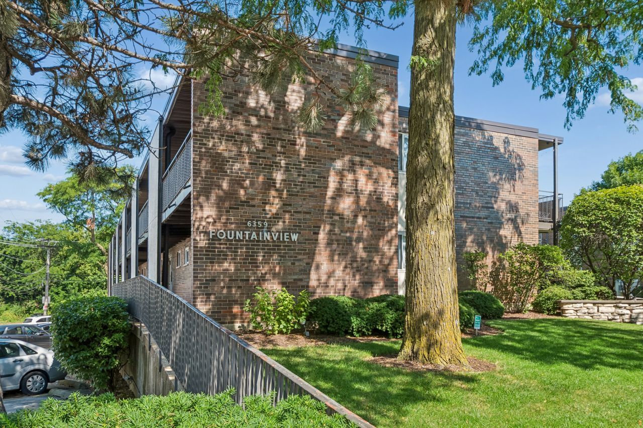 Sheila Doyle in Evanston, IL (2)