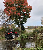 DeHaven Family Farm in Union Dale, PA (3)