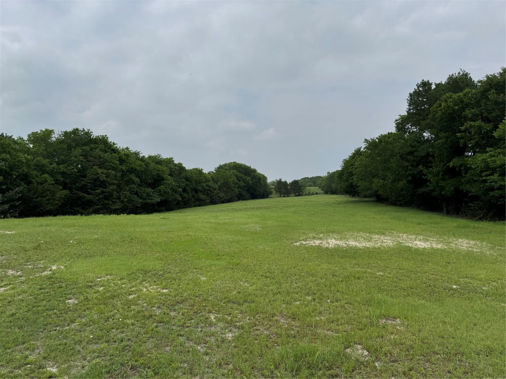 The Cave Realty Team in Allen, TX (6)