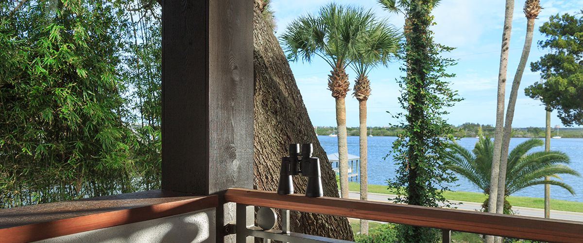 Black Dolphin Inn in New Smyrna Beach, FL (2)