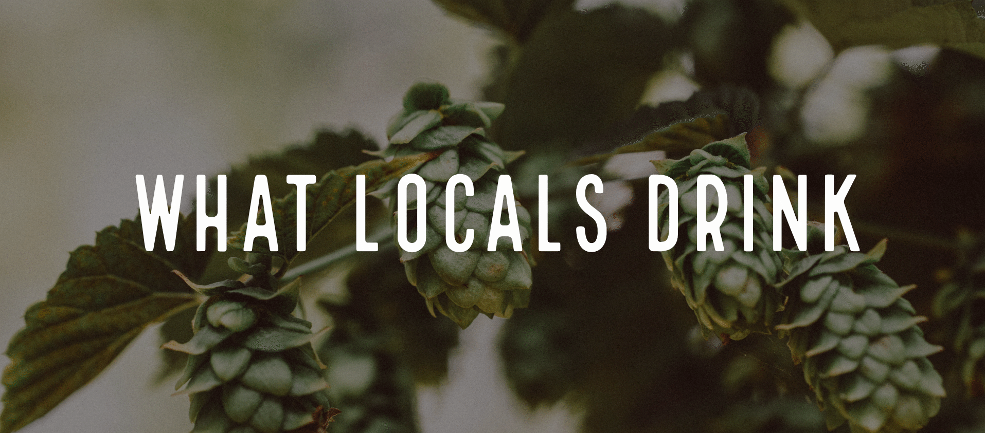 Local Ties Brewing Company in Carrollton, GA