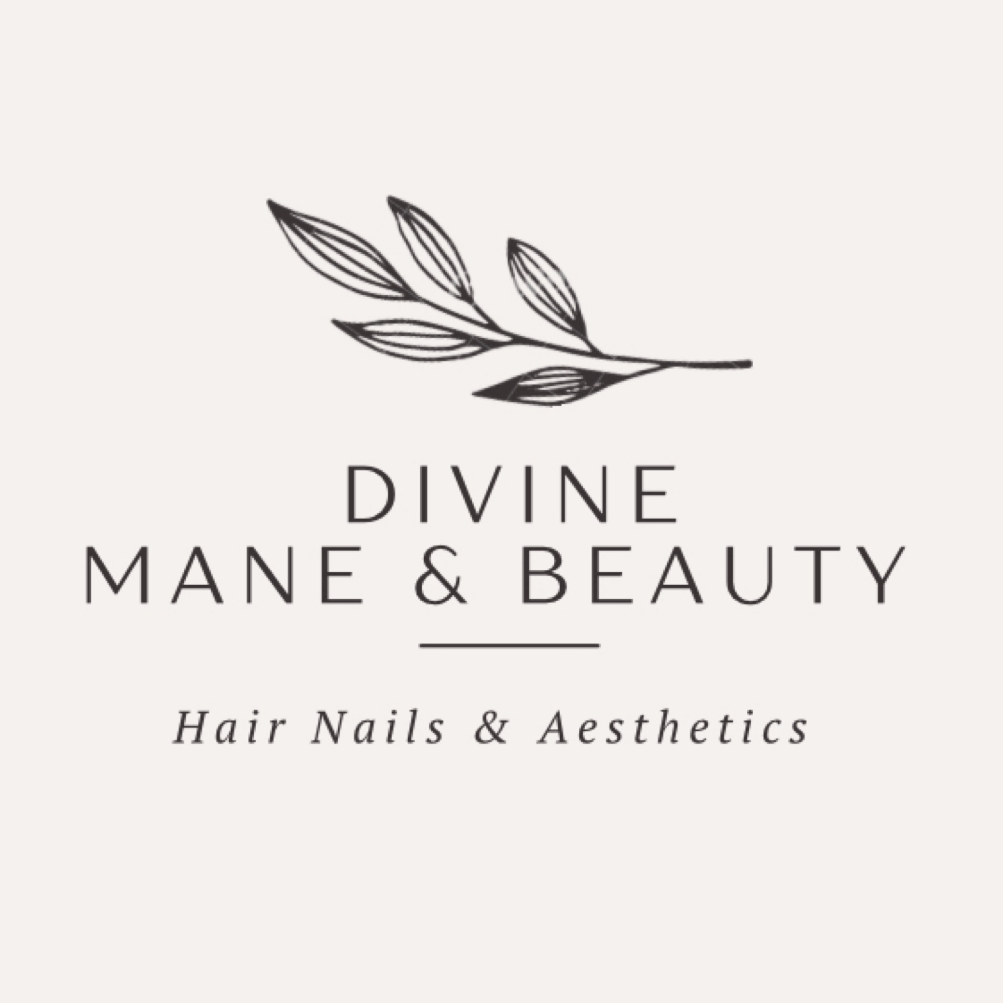 Divine Mane & Beauty in Waverly, OH (5)
