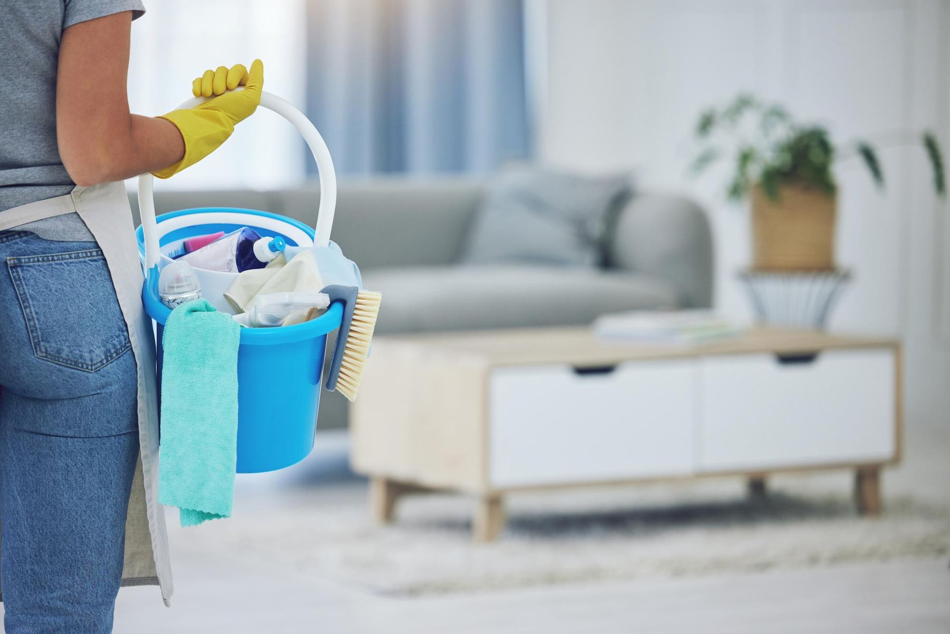 Limpio House Cleaning LLC in Norfolk, VA (3)