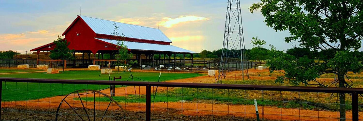 Buy Wise Real Estate in Decatur, TX (5)