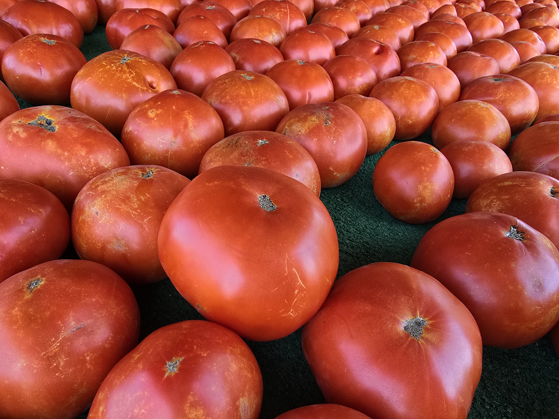 Homestead Farm in Poolesville, MD (2)