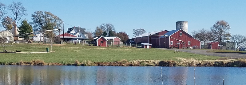 Homestead Farm in Poolesville, MD (4)