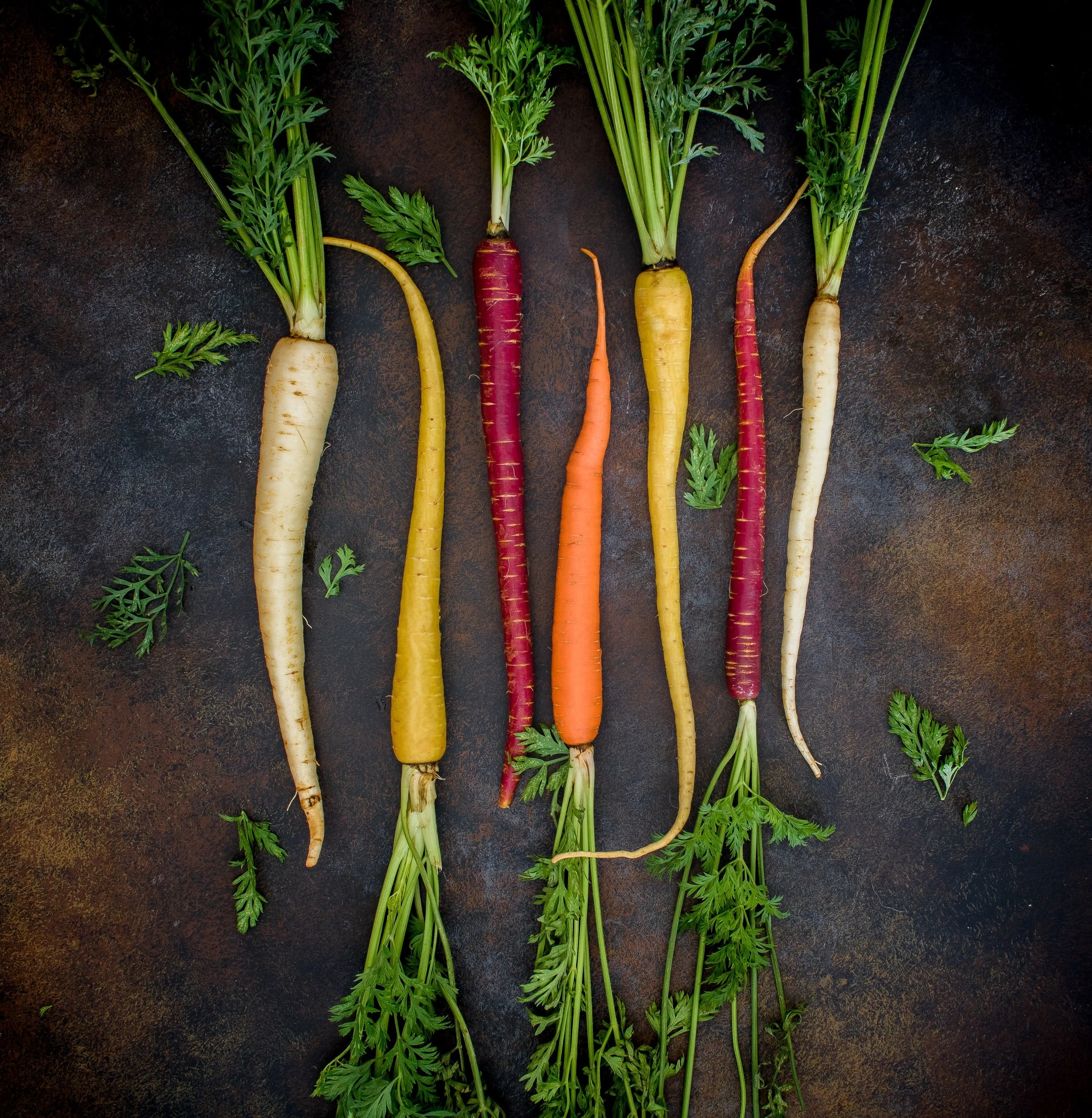 Grass Roots Kitchen in Tarrytown, NY