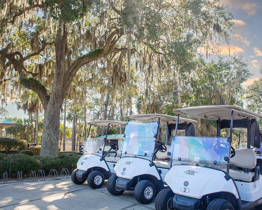 Luxury Homes of Hilton Head in Hilton Head Island, SC (6)