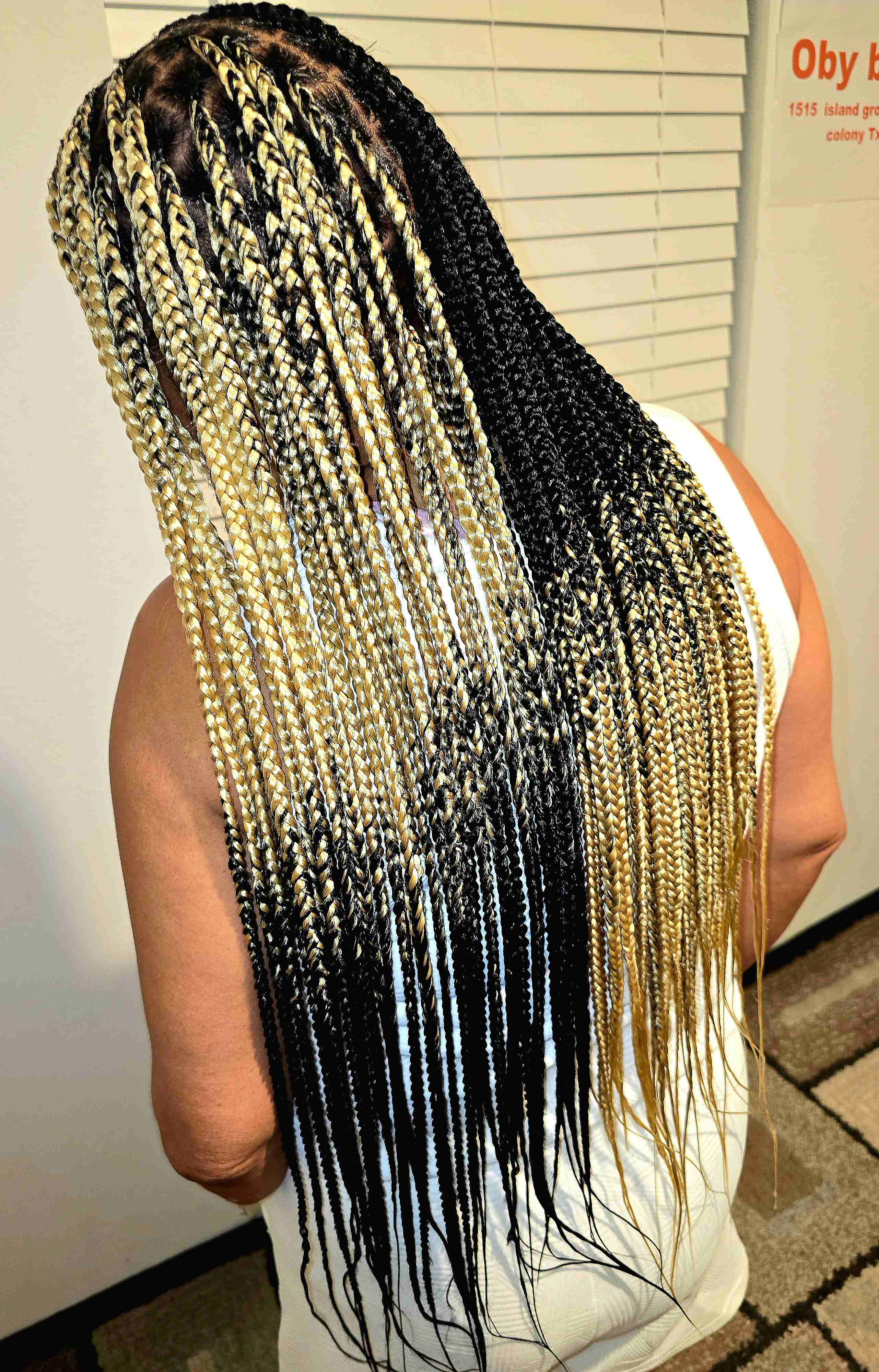 Oby braids in Houston, TX (3)