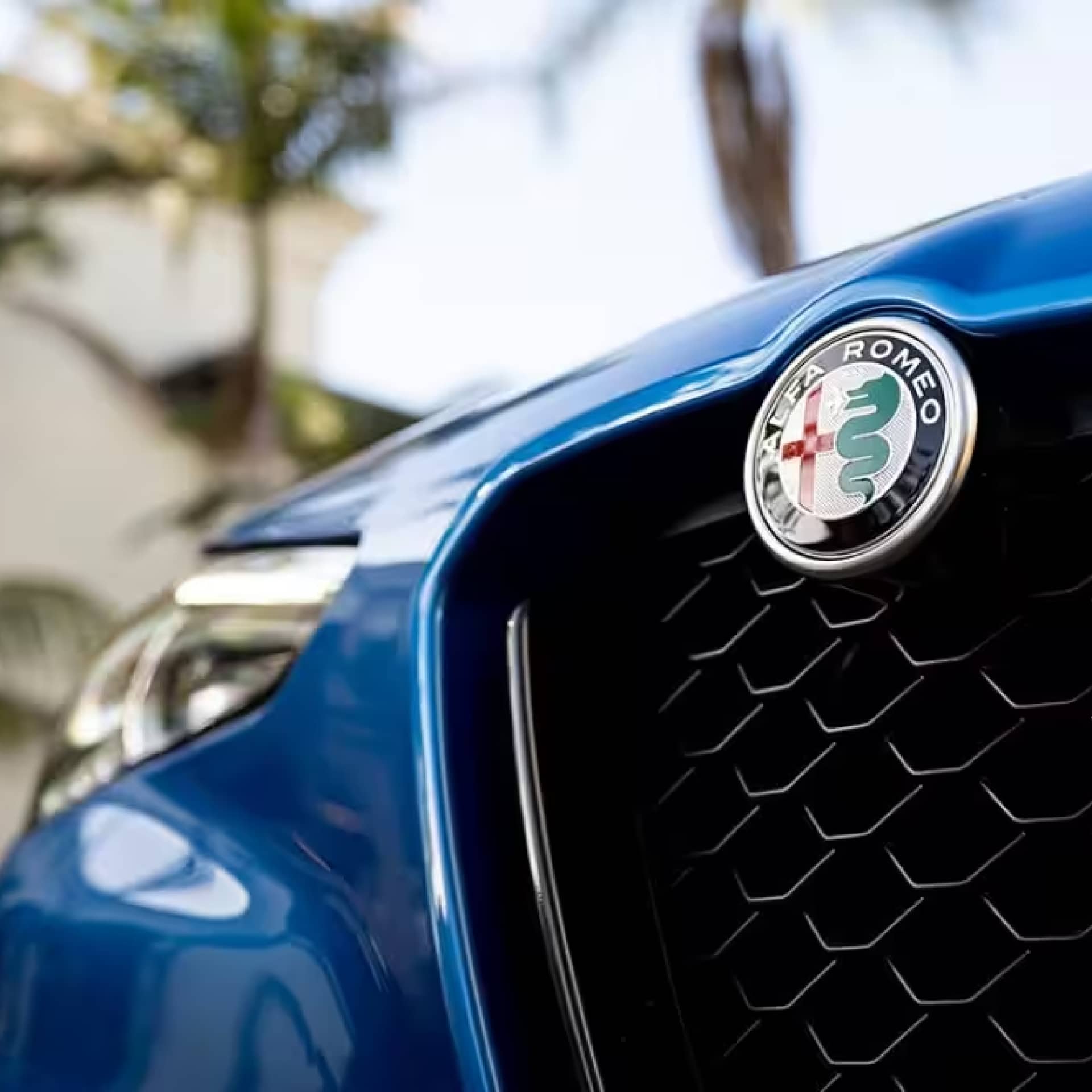 Alfa Romeo of San Jose in San Jose, CA (3)