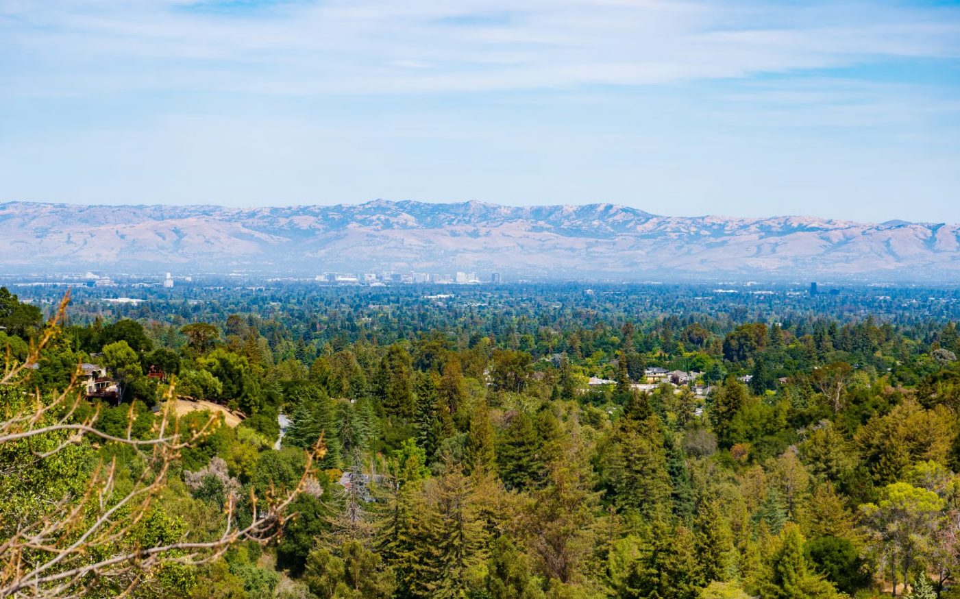 Lina Zhou Real Estate Team - Your Home SOLD GUARANTEED Or We Buy It! in Stevens Creek Blvd, CA