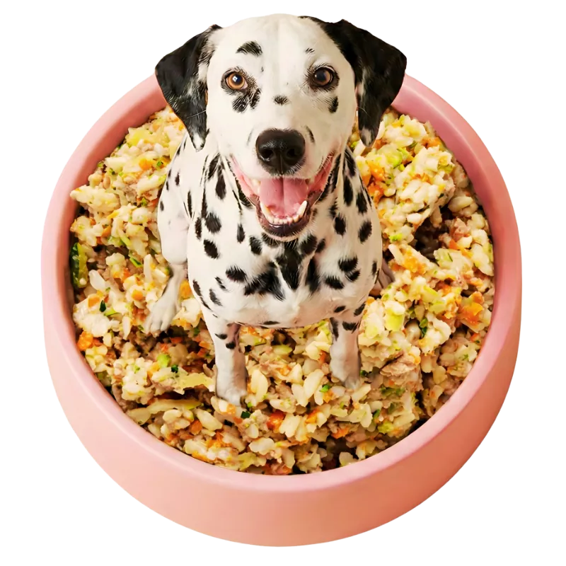 Dunedin Pet Supply & Grooming in Dunedin, FL (4)