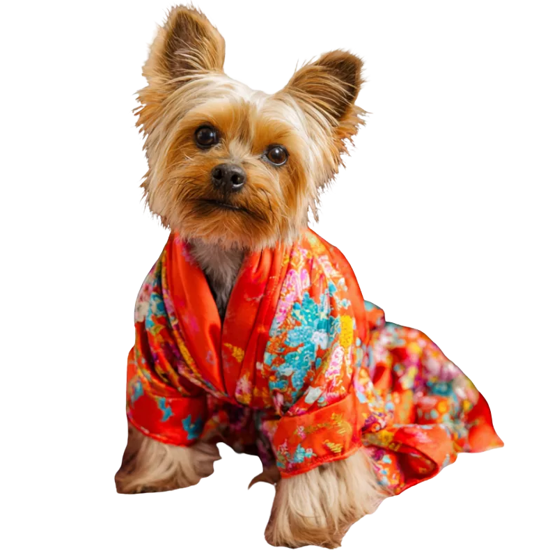 Dunedin Pet Supply & Grooming in Dunedin, FL (5)
